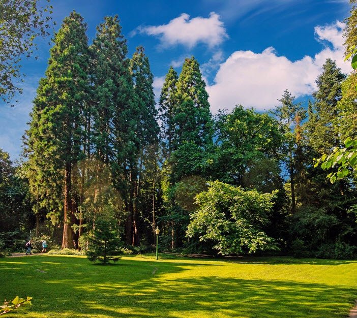 Kaldenkirchen Sequoia Farm, Nettetal, Germany, Germany